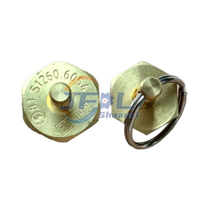 주문 물 배수 밸브 8151260.6054 81.51260-6053 SHACMAN에 대한 온라인 제조