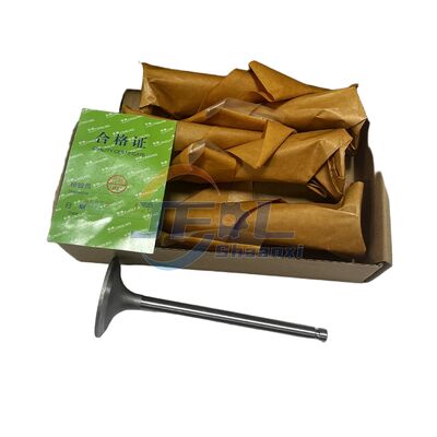 주문 고품질 정품 트럭 부품 4995554 4994143 흡기 및 배기 밸브 에어 밸브 액세서리 Dongfeng 6W 모델 B19033용 온라인 제조